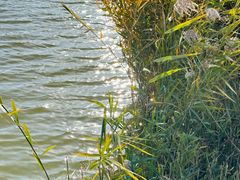 -野鸭湖国家湿地公园