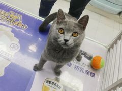-酷迪(巴沟华联店)