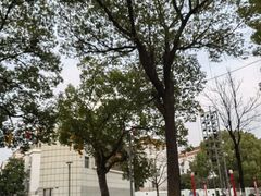 -七宝老街-闵行市民文化广场