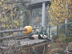 -大连森林动物园