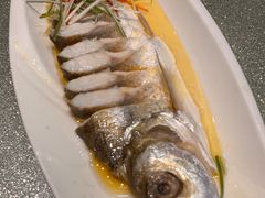 清蒸水库白鱼-浒顺大酒店(相城店)