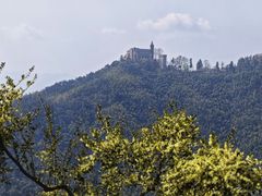 -莫干山风景区