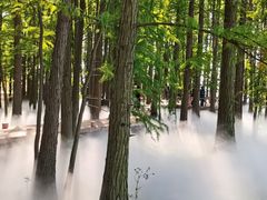 -东湖落雁景区