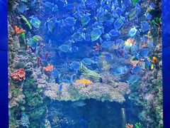 -海合安青岛极地海洋公园