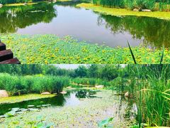 -沉浸北京·团建旅行·密室剧本杀·年会会议轰趴拓展