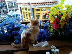 景观位-玛吉阿米·餐吧