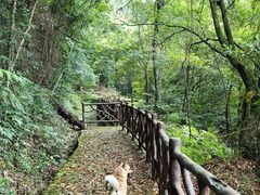 -广州市石门国家森林公园