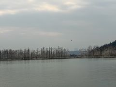-东湖落雁景区