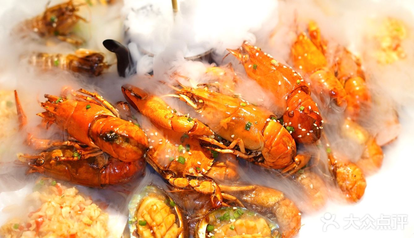 松哥第一铲回归啦😋小澳龙自由太爽了🦞