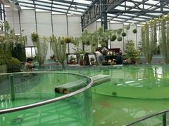 android_upload_pic-溱湖国家湿地公园