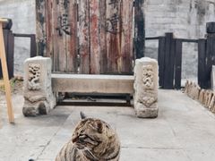 -正阳书局(西四南大街店)