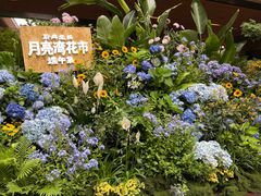 -瑞虹新天地月亮湾
