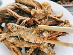 -龙福源密云水库灶台鱼
