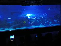 -成都浩海立方海洋公园