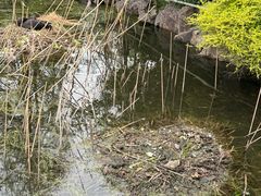 -鲁迅公园-垂钓中心