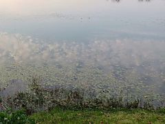 -艾溪湖湿地公园