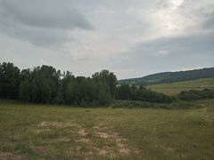 -塞罕坝国家级自然保护区