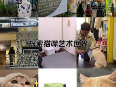 -福懋动物医院·犬猫全科·外科·重症科(杏林分院)