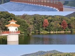 -广州市白云山风景名胜区