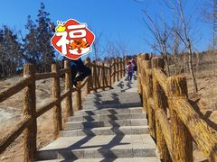 -白水寺森林公园