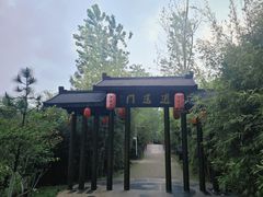 -合肥滨湖国家森林公园