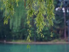 -天鹅湖体育公园