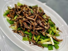 -老刺参海鲜酒楼