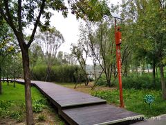 -东郊湿地公园