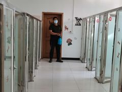 -北京京卫宠物寄养训练中心