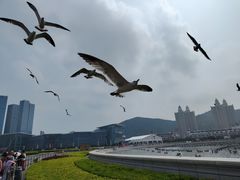 -星海广场