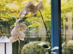 -湖滨客舍·湖北菜