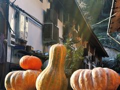 -林坑古村落