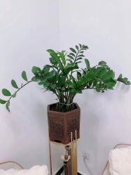 -梦斯绮塑美中心(通州富力星光店)