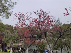 -虞山风景区