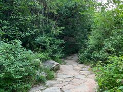 -北京西山国家森林公园