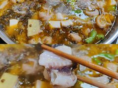 激情椒麻鱼（红鲨）-韩妹鱼庄·泸定老字号(泸定店)