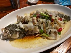 -顺德了能馆(虎门店)