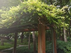 -徐家汇源景区-衡山公园