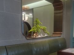 -高玛纳驴肉火烧(河间总店)