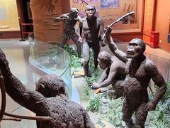 -国家自然博物馆