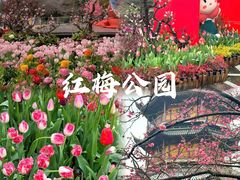 -中华恐龙园