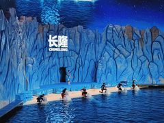 -珠海长隆海洋王国