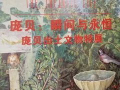 -盘龙城国家考古遗址公园