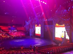 -珠海横琴长隆《卡卡虎奇遇记》