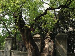 IMG_1167-溪口-滕头旅游景区