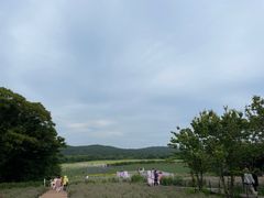 -济州森林小火车生态公园