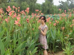 -白鹭湾湿地公园