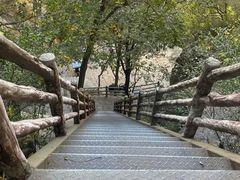 -北京凤凰岭