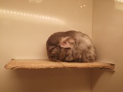 -龙猫仔乐园(惠福东路店)