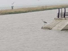 -卧龙湖